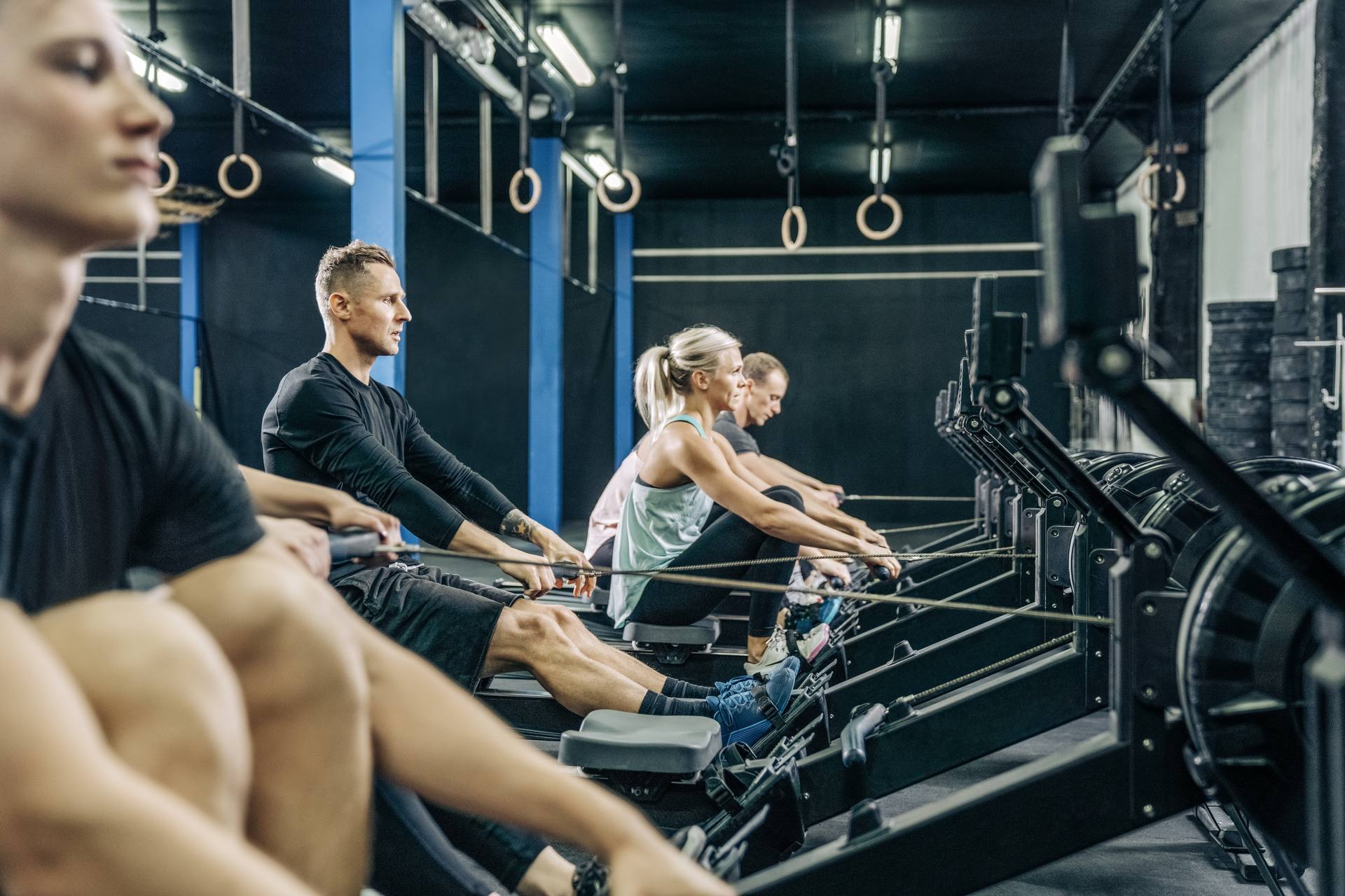 Athletes racing side by side on indoor rowers