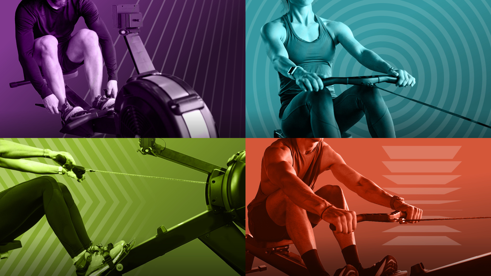 Row Nation programs in the app